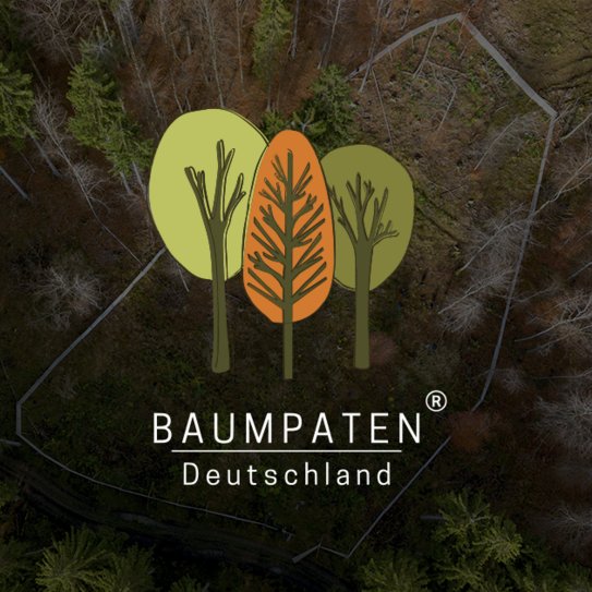 Logo der Baumpaten Deutschland vor einem Wald