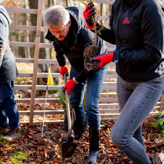 Zwei Personen pflanzen einen Baum