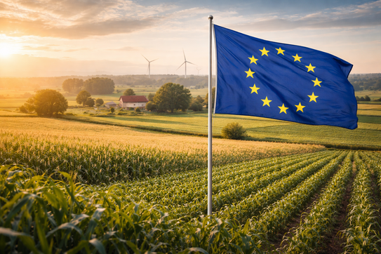 Eine landwirtschaftliche Fläche bei Sonnenaufgang. Darauf befindet sich eine wehende EU-Flagge.