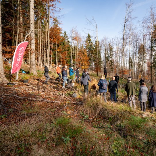 Eine Gruppe Menschen steht in einem Waldstück auf einer Lichtung