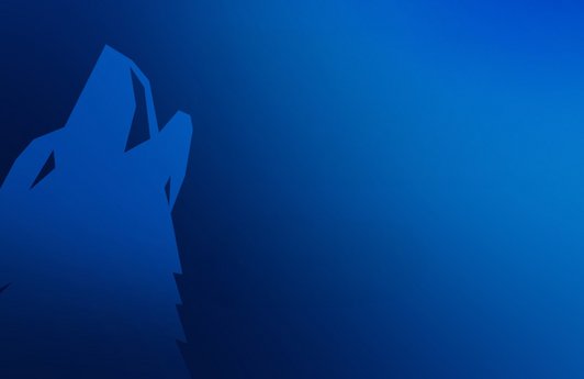 Partnerschaft Arctic Wolf