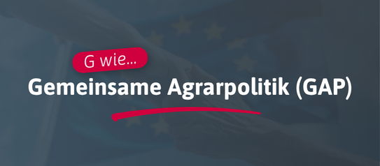 G wie... Gemeinsame Agrarpolitik (GAP)