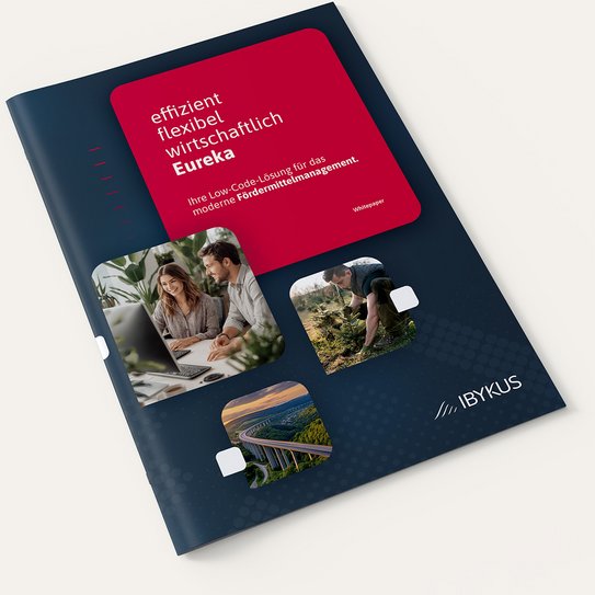 A4 Broschüre Eureka Titelbild
